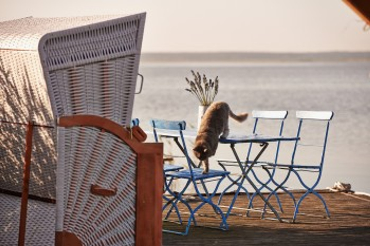 Strandkorb und Bistrotisch am eigenen Steg